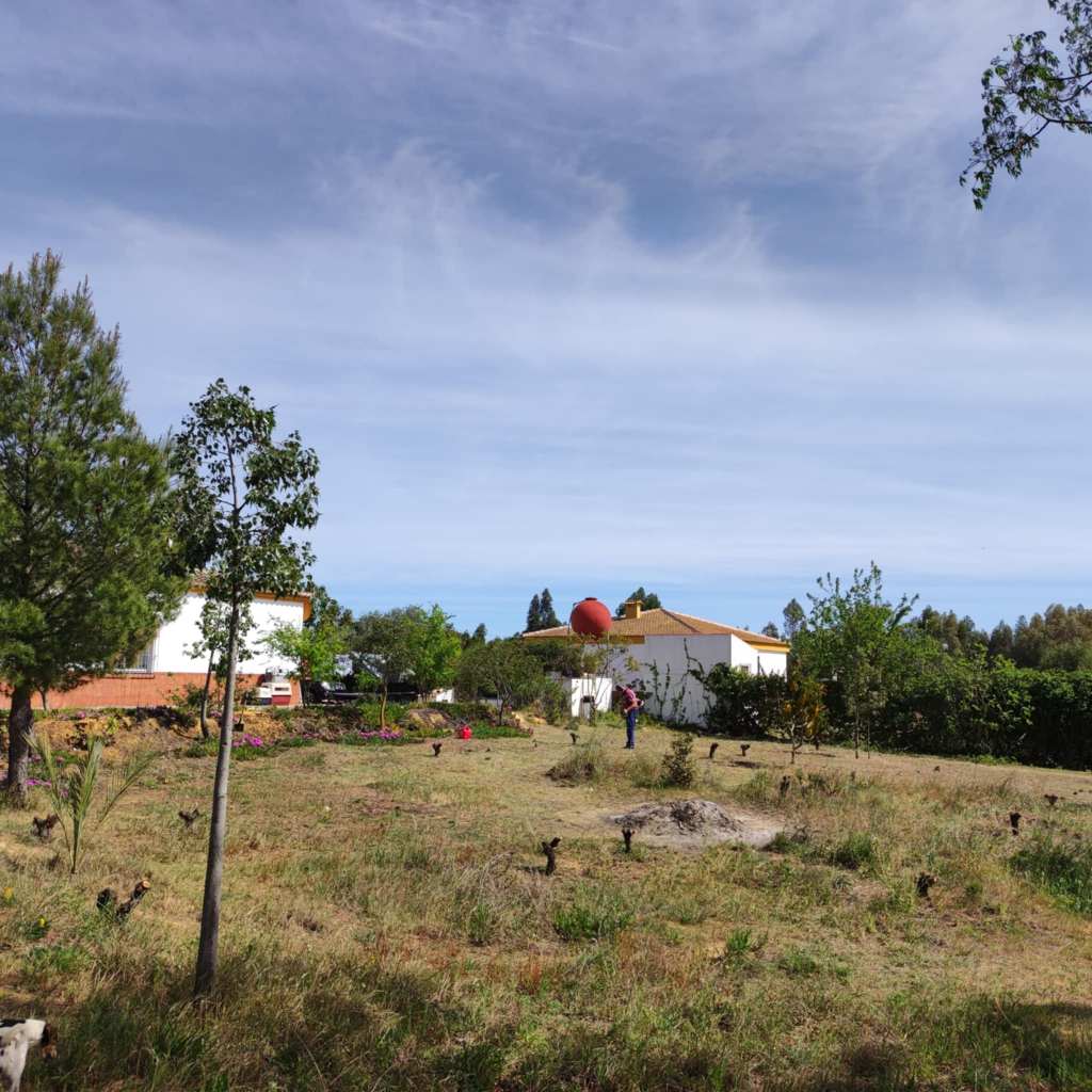 Ref2420 Andalusien, Provinz Huelva, La Palma del Condado – Finca mit 2 Häusern zu&nbsp;verkaufen!