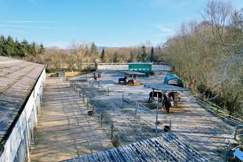 Ref2509MK Rheinland Pfalz, Westerwald, 56479 Elsoff – Reiterhof zu&nbsp;verkaufen