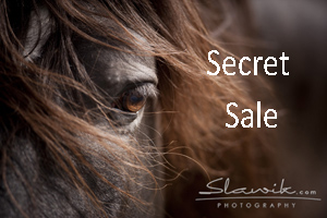 Ref2519KR Schleswig-Holstein, Eckernförde – gepflegter grosser Reiterhof/ Gestüt mit Ferienwohnungen zu&nbsp;verkaufen