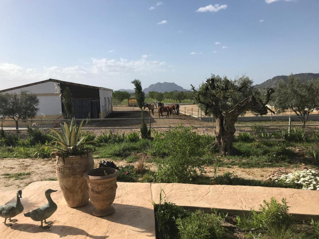 Ref2342 Spanien, Murcia, Campo de Ricote, Traumfinca mit 2 Häusern und Pferdestall – zu&nbsp;verkaufen!